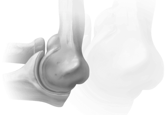 elbow_featured-large