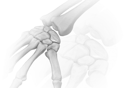 hand_and_wrist_featured-large
