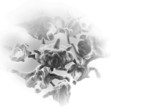 orthobiologics_featured-large