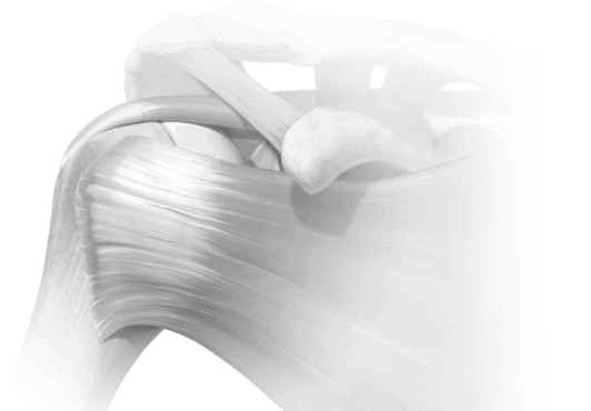shoulder_featured-large